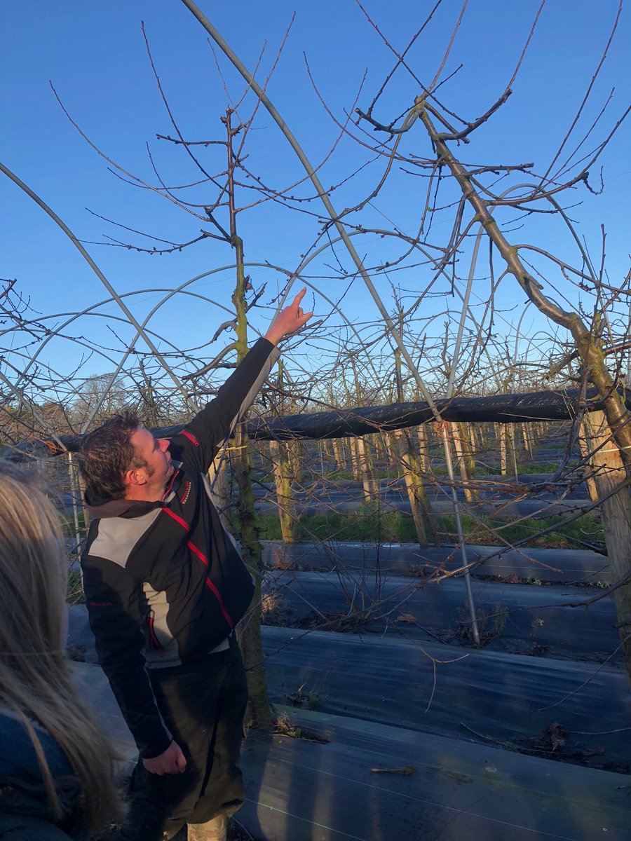 TyfuCymru's tweet photo. A few snaps from the TyfuCymru #FruitNetwork launch event at Littywood Farm Ltd last week.
Great to kick start the network by providing attendees with hands-on experience of commercial #best-practice alongside cutting edge #innovation. @littywood https://t.co/rvgaEGyPcl