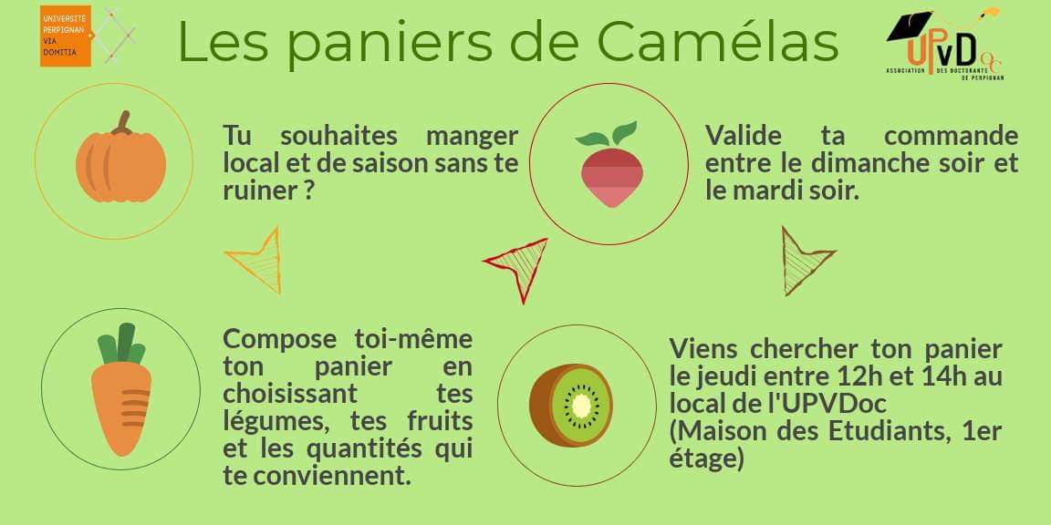 associationupvdoc.wixsite.com/upvdoc/panier-… (Copyright: Clémence Thiour Mauprivez)