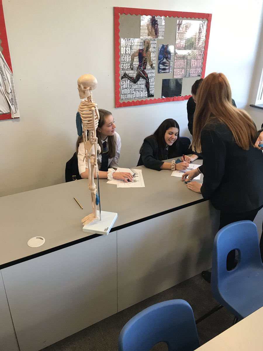 ShipstonPEDept's tweet image. GCSE PE sports students were busy this morning making muscles out of plasticine and locating them on a Skeleton model. #practicaltheory #pegeeks #muscularsystem