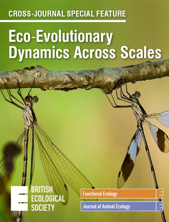 Functional Ecology tweet media