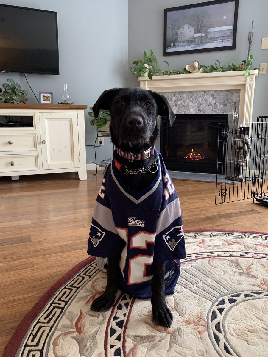 Hero Pups tweet media