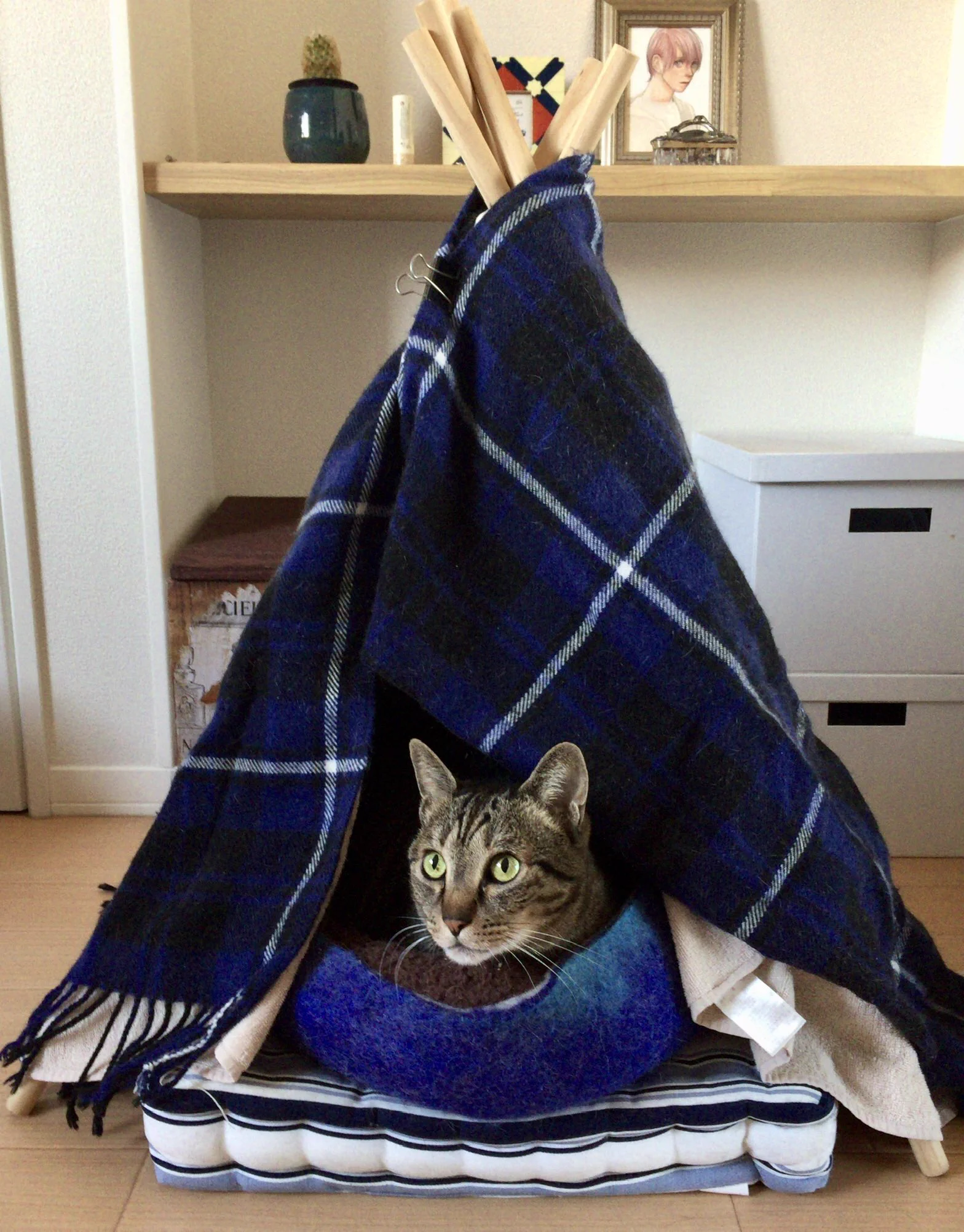 簡単に作れるお手製の猫テントがかわいい～！
