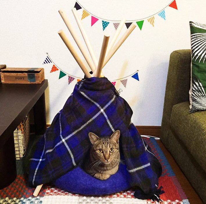 簡単に作れるお手製の猫テントがかわいい～！