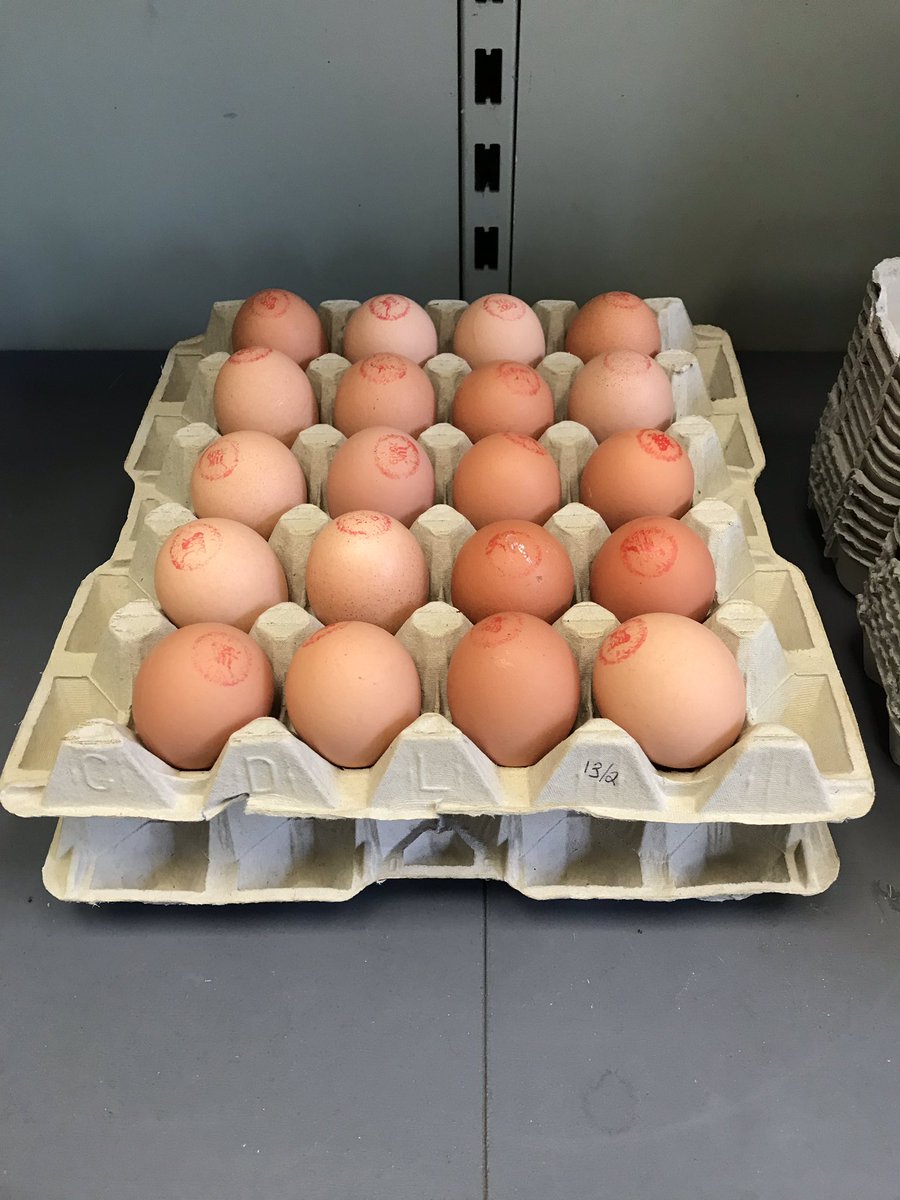 It doesn’t come much fresher! Laid yesterday, in store today. Another delivery of Shropshire free range eggs #fresh #delicious
