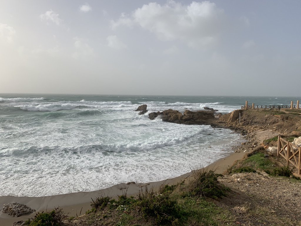 Joshua Karp tweet media