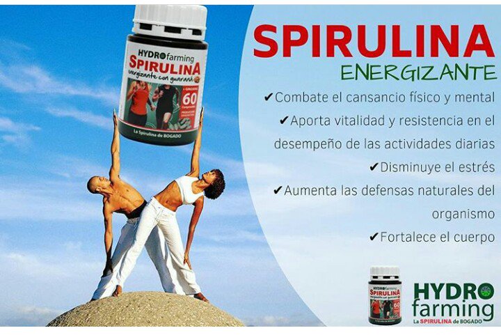 hydrospirulina's tweet photo. #Spirulina #Energizante #Bogado #Hydrofarming https://t.co/ExtFZpwme5