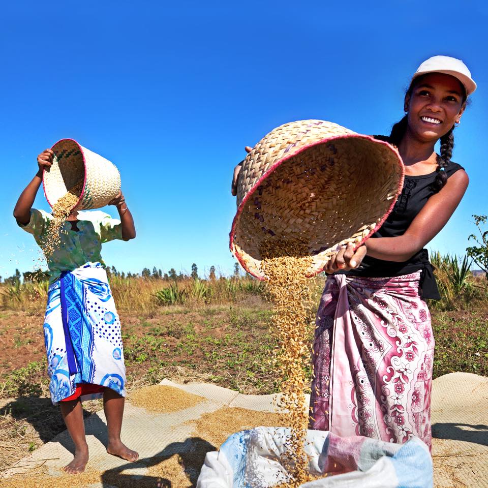 FAO's tweet photo. #Women make up 45% of the agricultural labour force in developing countries yet they don’t have the same access to resources as men. 

Equal access to resources is a fundamental right and vital for a #ZeroHunger future.

#WEF19 #Davos https://t.co/d4xRRszAQ9