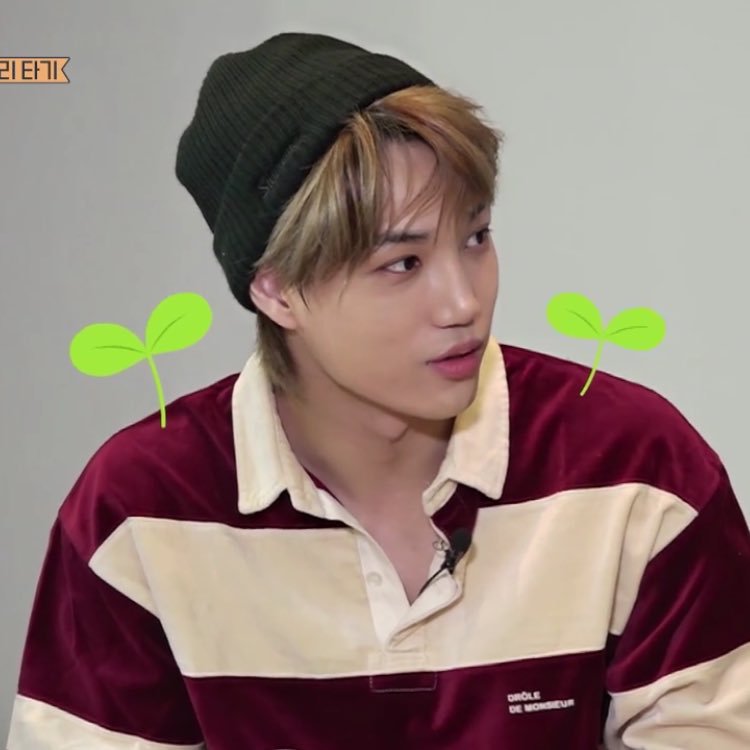 jongin: ㅂ3ㅂ
oksusu staff: oh my god look at him!! he's always laughing he's so happy!! put the tiny sprout on him now!!