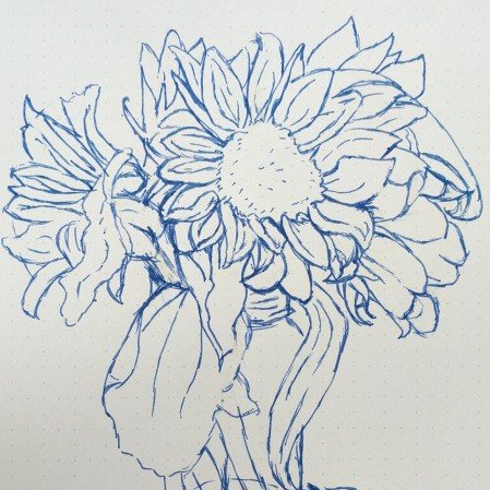 echoKraken's tweet photo. Flowers from both of the eKS girls this week!! Dreaming of sun flowers and warmer weather!

Sketch done by @sonnefaunart

#sunflowers #flowers #masonjar #dreamingofsummer #dreamingofspring #sketch #pen #pensketch #rocketbook #rocketbookwave #blue https://t.co/4RqmQDk9Df
