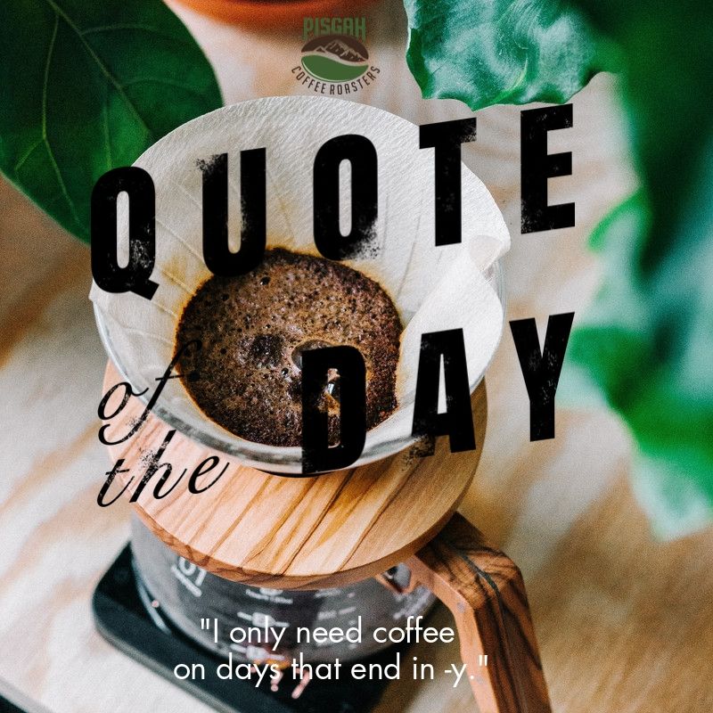 PisgahRoasters's tweet image. Happy TuesdaY everyone 
#Tuesday #coffee #pourover #quoteoftheday