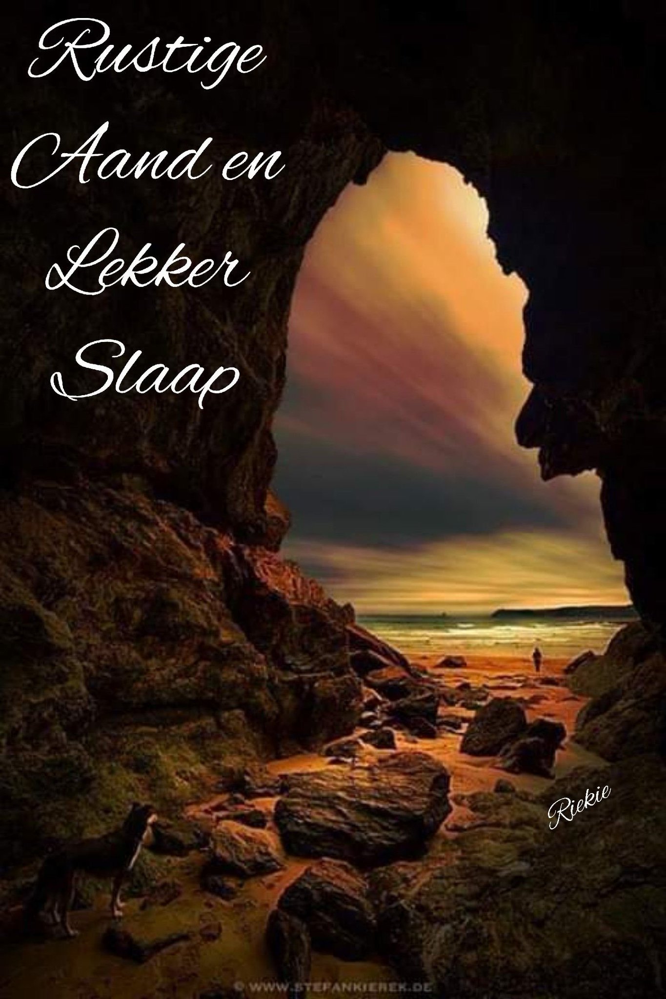 X 上的Rina：「Lekker slaap almal. https://t.co/SFnaHWBYfq」 / X