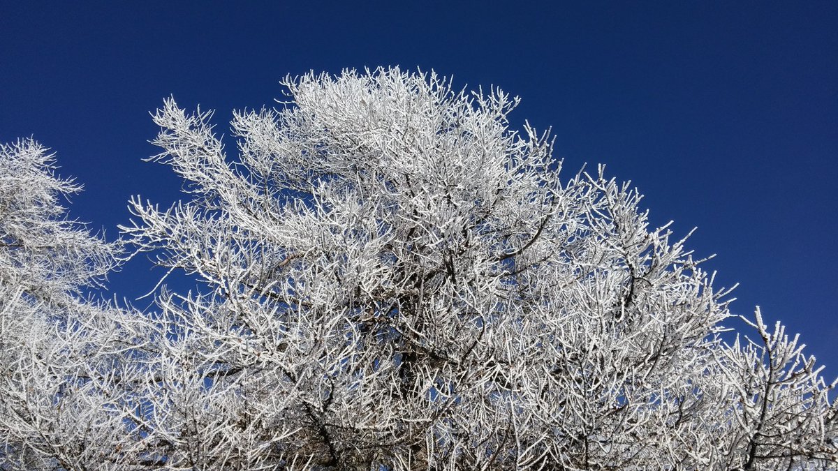 piemonte_italia's tweet photo. L'#inverno avanza in #piemonte!!! Il freddo non manca e tra poco la neve...photo by @accalai_ivana
#piemontedavivere #parcoorsierarocciavré #pracatinat #selleries #trekkingalps #landscape #flora #ilovepiemonte #ilmiopiemonte #photographylovers #photonatura https://t.co/v46GbHAEXa