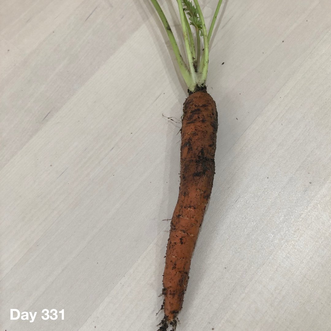 Mutrend Lab tweet media