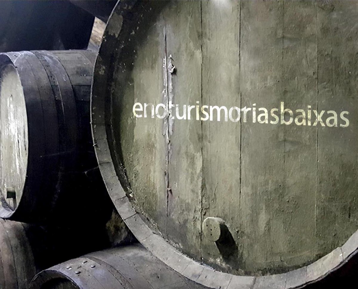 BODEGUEAMOS? Si quieres conocer bodegas, pasear por sus viñedos, o saborear sus vinos, descubre lo que te ofrecemos en enoturismoriasbaixas. #enoturismo #vino #osalnés #albariño #riasbaixas #galicia #regalaenoturismo #cambados #viajar #visitasabodegas #bodegas