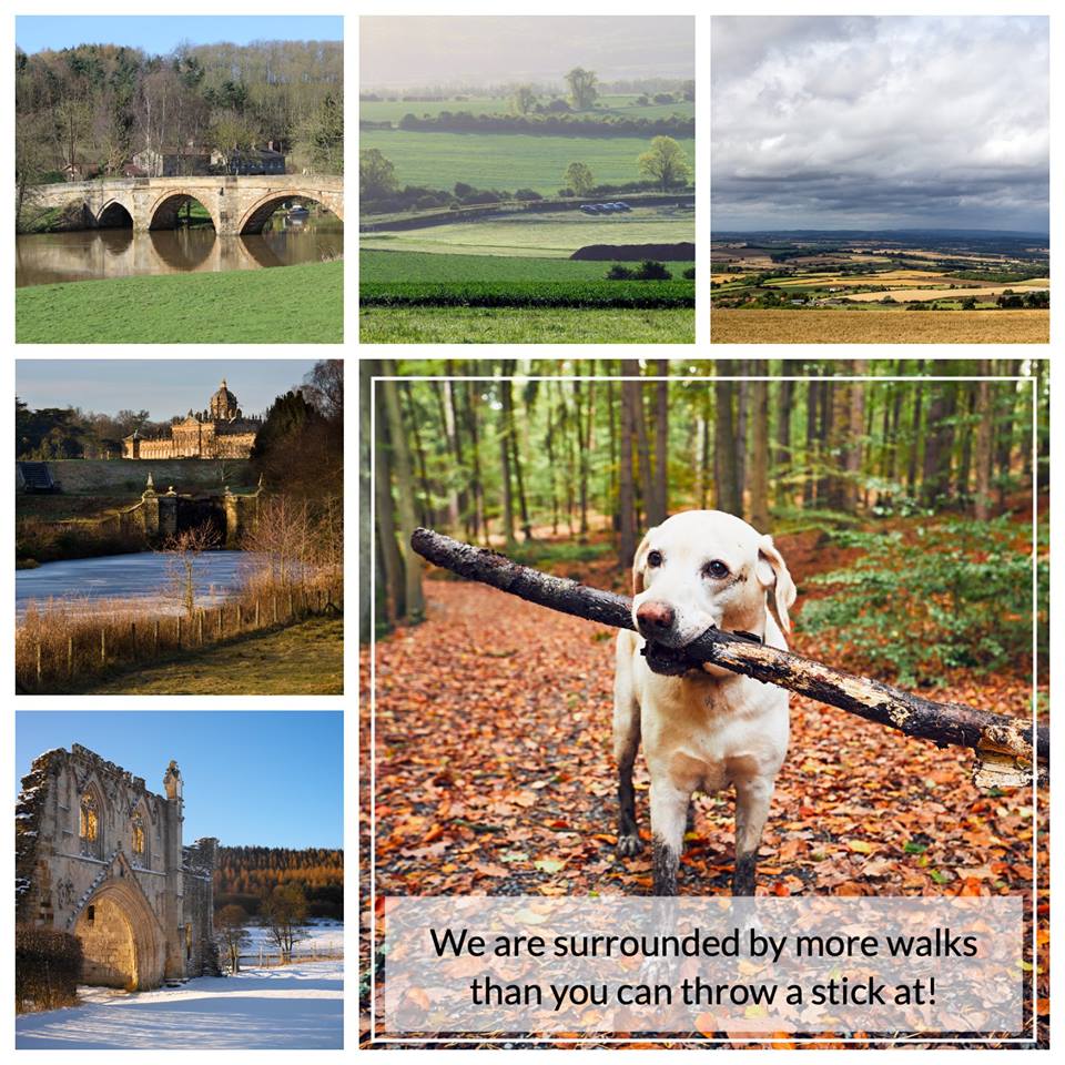 #CountryLife is for everyone - so get your #wellies on today! We are very lucky to overlook the always stunning <a href="/EnglishHeritage/">English Heritage</a> #kKirkhamAbbey.