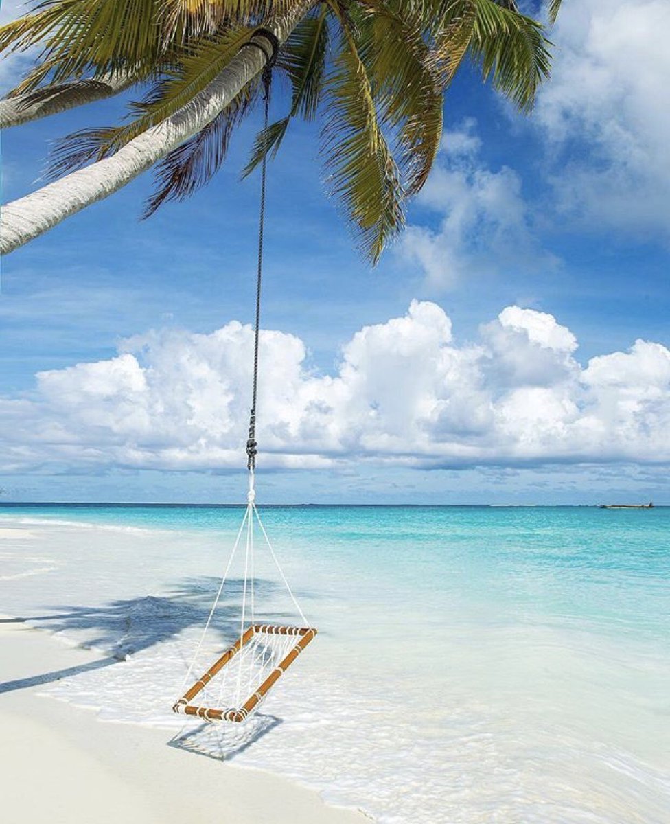 soniacolpo's tweet photo. @zepiron @ANASTALYA @mrtom101 @DonnaFins @Joee_Blackkk @NajdeckiArtur @Sophie_sofie_ @Keith1Chill @TlrWorldWidellc @GucciGuccin @klem7165 @HDrelaxation4U @Ghiovanela @arasaucedo24 @se_ablue @SurfersRoom @henrirouen @hr130130 @Egg15E @marienassar_ @artesaniaen @tepanchinceva @SimonaAnvar @seasolshades @rkmeeks7 @Fontain33828874 🌐✈️🌐✈️🌐✈️🌐✈️🌐✈️🌐✈️🌐✈️

#TuesdayMotivation #LovelyDay #ToAllGreatFriends  #Dreaming #SummerDays #Enjoy #relaxingOne #MuchAhola #AlwaysThankYou #FollowMe #RetwittingBack  #GoodVibesOnly 

#PlaceToGo #Travel #IslandVirgin #Beach https://t.co/TvijTL9Vvm