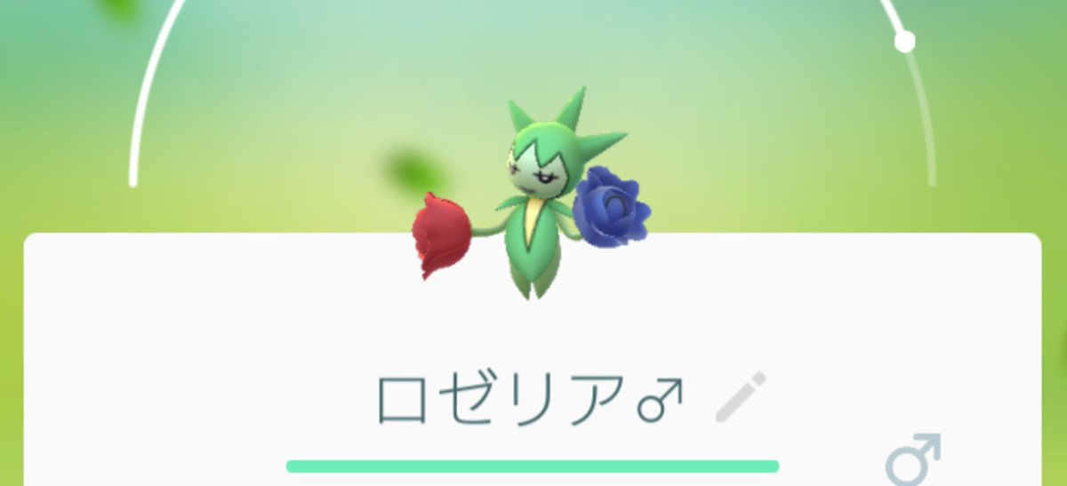 オスメス違うポケモン