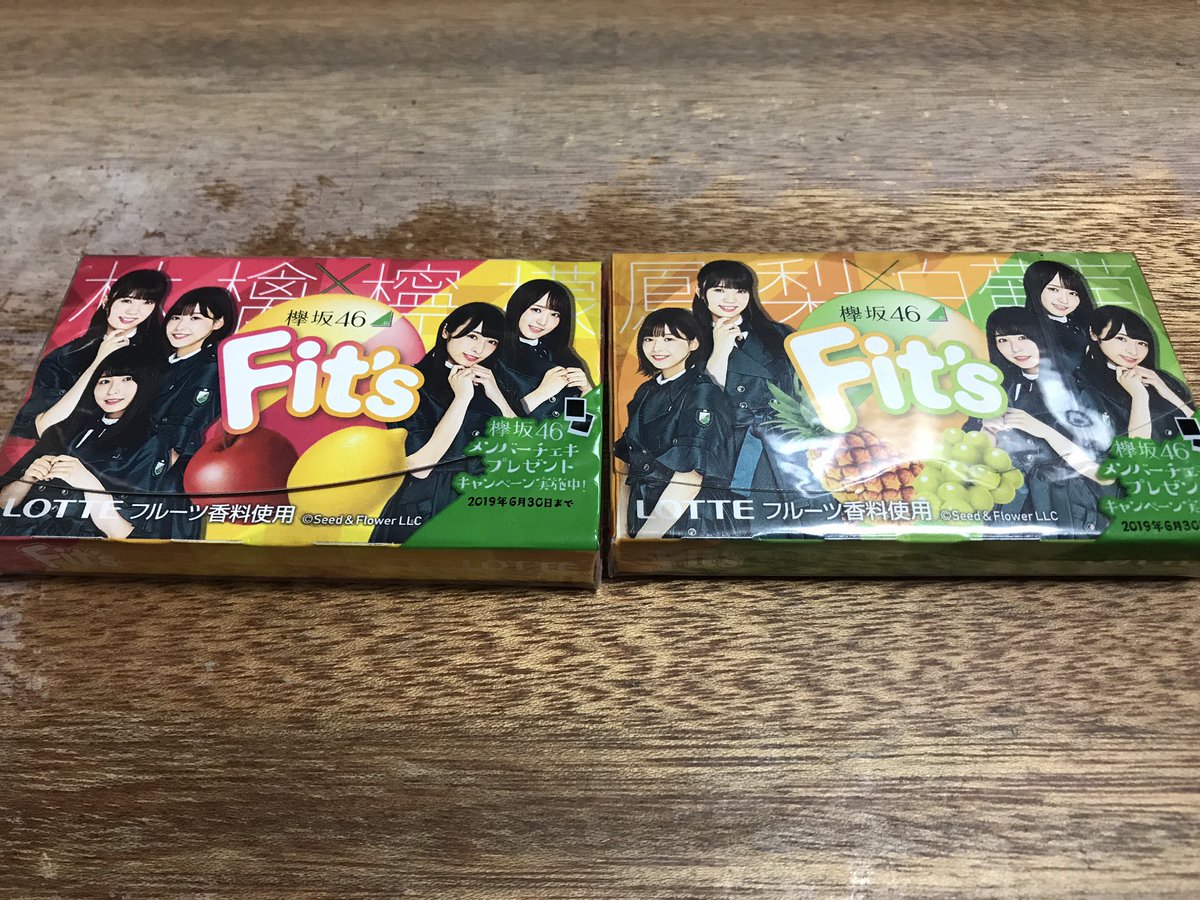 Fits欅坂46ガム Fits欅坂46ガム