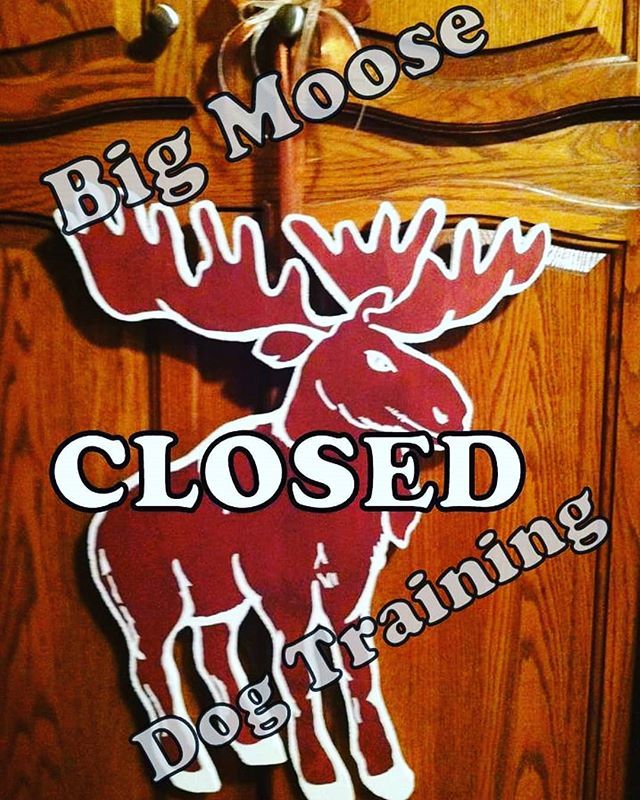 NO CLASS today, @MCC has CLOSED due to weather.  Stay safe & check back on some ideas to exercise your dog INSIDE.

#icestorm #noclass #classescancelled #winterinnebraska #becareful bit.ly/2CAkFUK