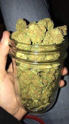 Remember kusherman delivers at your doorstep within and out of USA hit us up for your deliveries and we on promotion +1(719)297-1986 Dm us directly