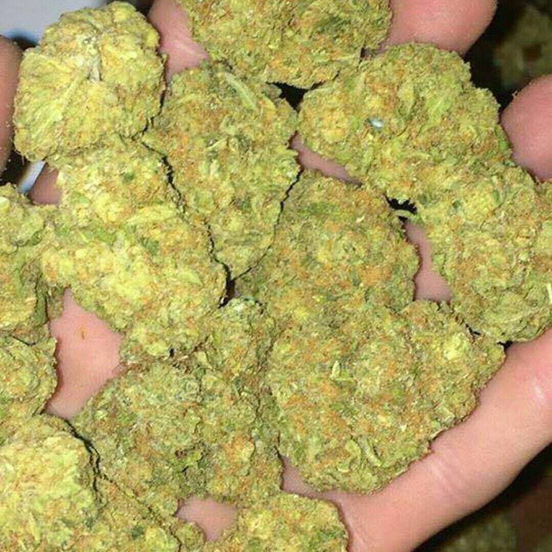 Dm us for your promotions this week top grade marijuana for patients and smokers Dm us directly via +1(719)297-1986