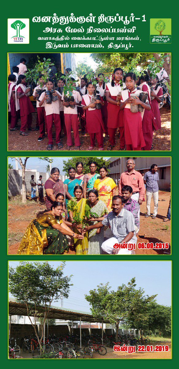 vetryorg's tweet photo. @vetryorg
#IAmGreenArmy
"A Mighty tree starts from a Seed"
#TuesdayThoughts
#nature #Savetrees #SaveEnvironmentToSaveLives #SaveNature #VanathukkulTirupur https://t.co/pMa7iNrFsm