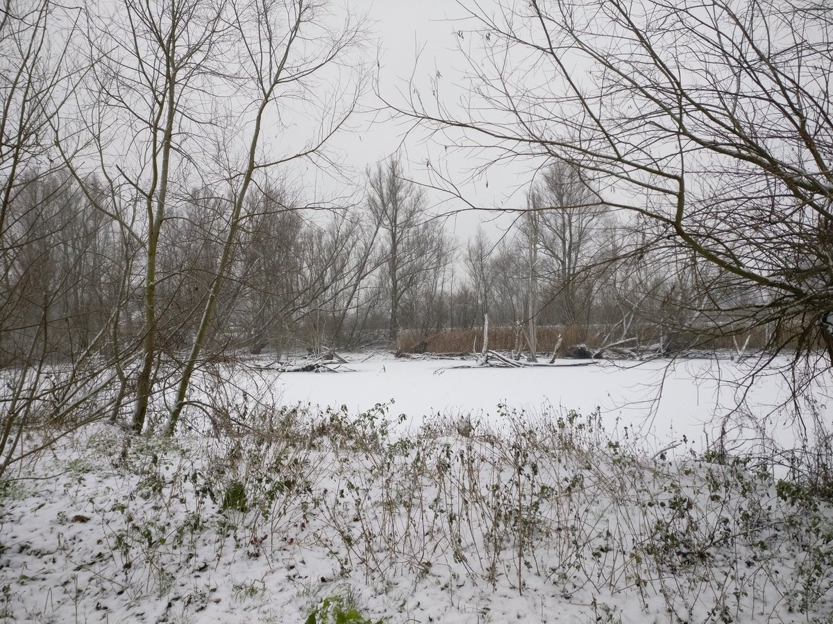 Het wilde leven tweet media