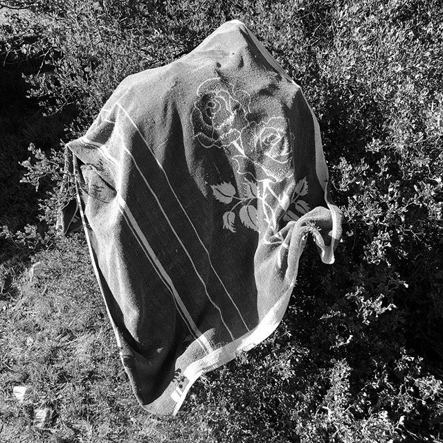 tarquinwyeth's tweet image. Towel with rose pattern.
.
.
.
#towel #towelart #rosepattern #southafrica #bulshoek #iphonephotography #iphonephotograph #mobilephotography #myfeatureshoot #artofvisuals #dreamermagazine #somewheremagazine #etczine #archivecollectivemag #ourmag #ourmomen… bit.ly/2HsM8gE