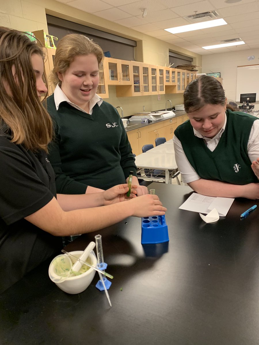 stemsjc's tweet photo. SENIORS today at lunch! Come and make some chlorophyll glow, play with magic mud and make a shrinking message! See you in ROOM 172 (room change!) https://t.co/gRigmKYK2X