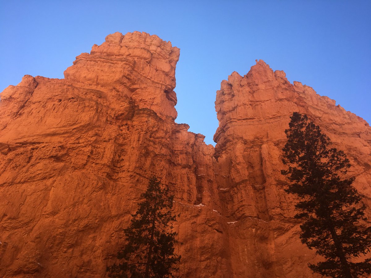 MSU_RecWellness's tweet photo. Make it a spring break you’ll never forget! Join us on the Southwest Road Trip and see this beautiful park (Bryce Canyon) for yourself! Reserve your spot at the front desk or use this link: https://t.co/ET3YMZRNUR https://t.co/DUwWKHtuuc