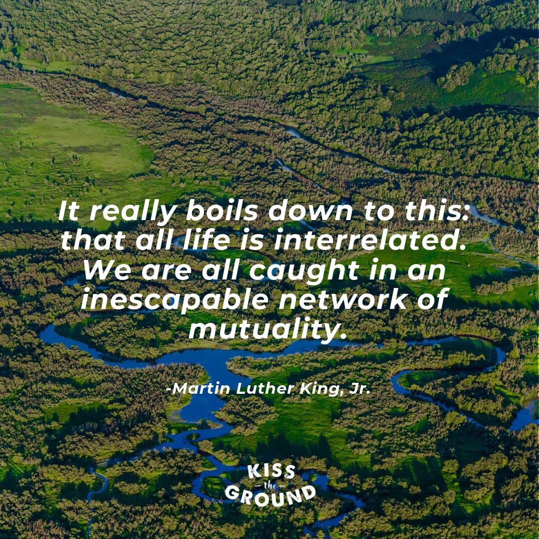 Bringing it home. Thanks <a href="/kissthegroundCA/">Kiss the Ground</a>