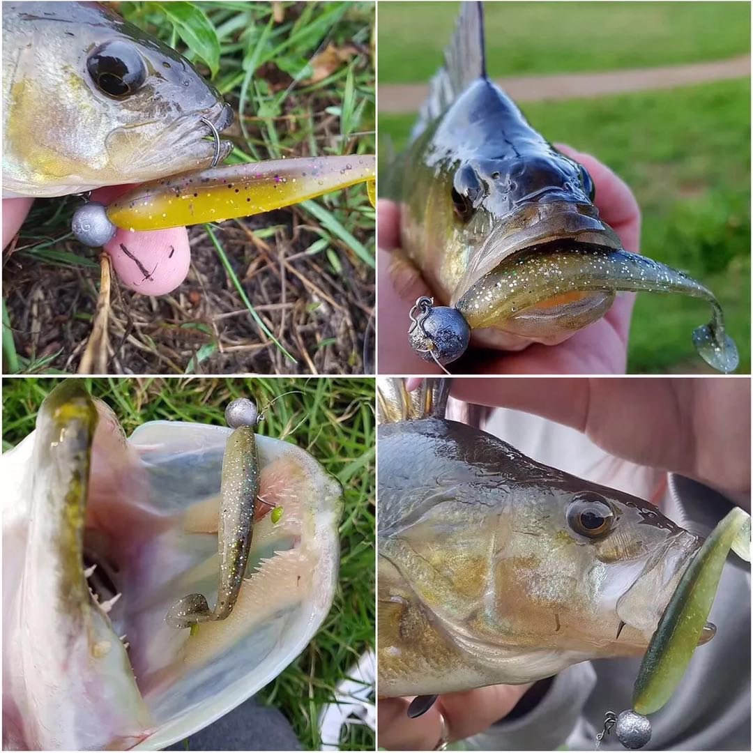 Afishlure2's tweet photo. Hot double colors t tail soft lure worm 68mm/60mm choice！Swipe to buy now！
#softlures #softlure #bassfishingismylife #fishingbass #fishing🐟 #fishing #fishinggirls #fishinglife #fishing🎣 #fishinglures #luremaking #baitcaster #baitfishing #swimbaits #baited #crankbait https://t.co/Vql2AsveZC