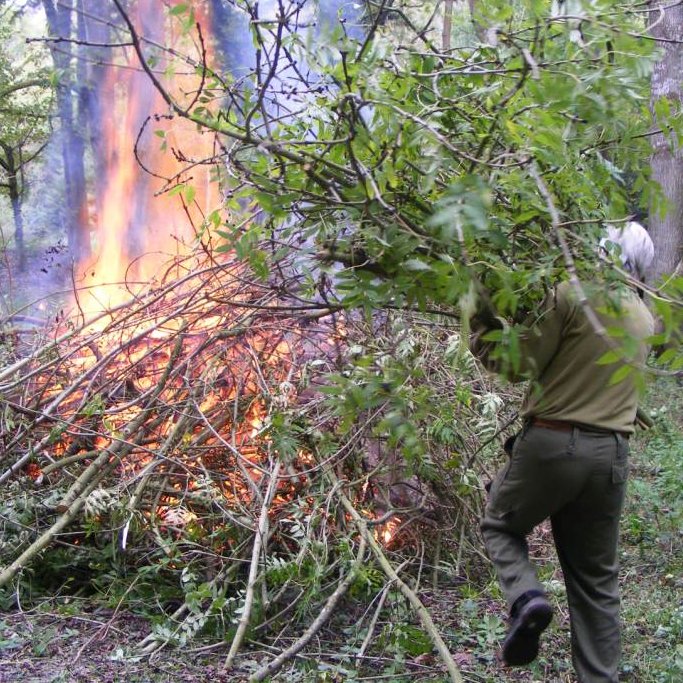 What's On Appleby: Conservation day at Smardale Nature Reserve Whats on Appleby: Conservation day at Smardale Nature Reserve