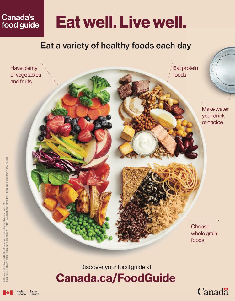 SPalmeri_RD's tweet photo. Oh, Canada! 🇨🇦 Your new food guide has arrived. #nutrition #food #platemethod #wholegrains #protein #vegetables #fruit https://t.co/rExeVw1puv