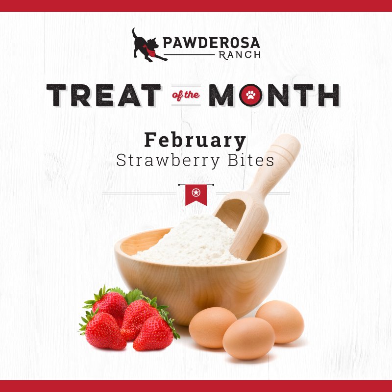 PawderosaRanch's tweet image. Treat your pup to our homemade Strawberry Bites! #DogsOfSATX #Homemade #DogTreats
