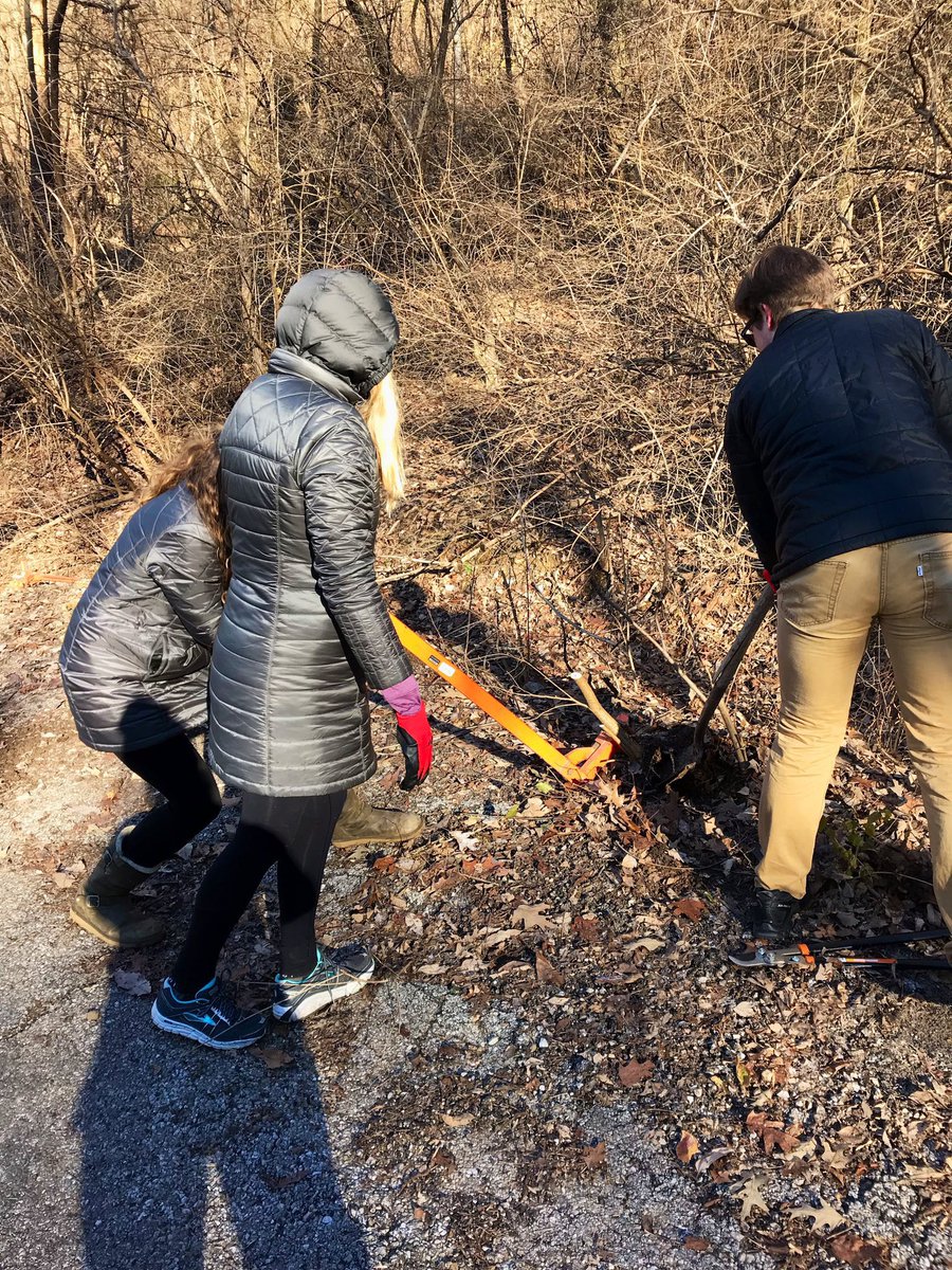 CHAPublicWorks's tweet photo. #CHAParks also had volunteers help at #StringersRidge for some trail maintenance work including removing invasive plants and cutting back vegetation from the sides of the trail. Thank you to everyone who joined #CHAPublicWorks yesterday and gave their time! #MLKDOS2019 https://t.co/H49Arj9jci