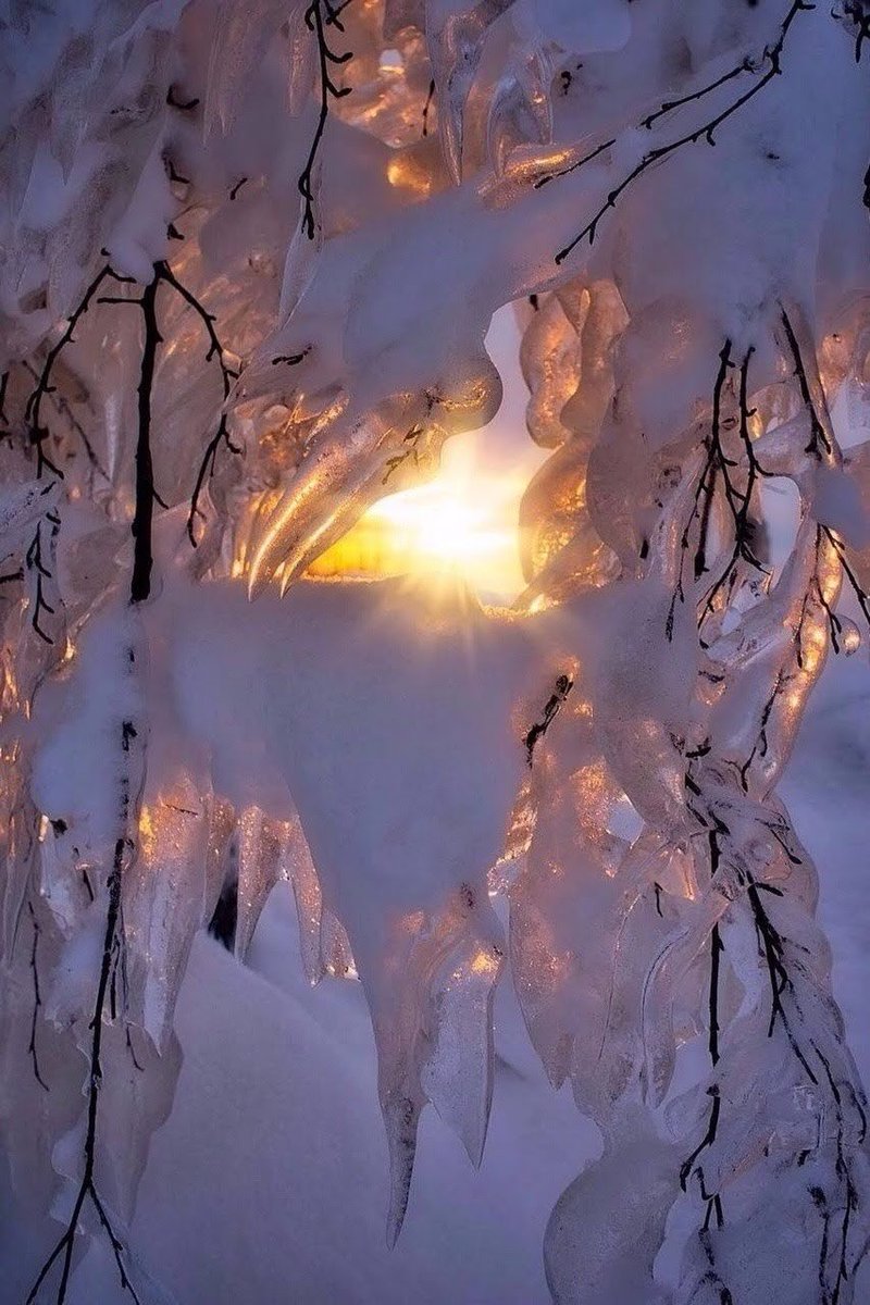 King of Babylon (@babylon8080) on Twitter photo 