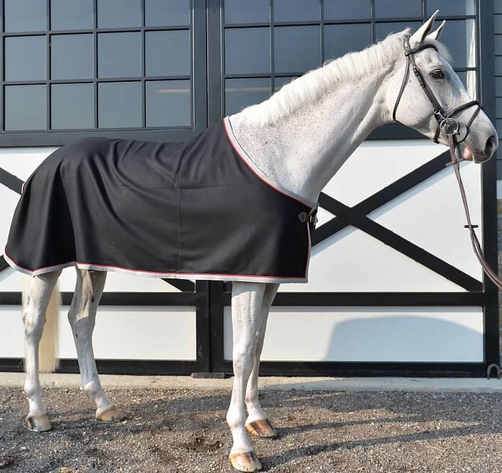 If you're going to Europe in the spring, be sure to order your custom horse clothing, stable accessories and drapes! 
blog.pphorse.com/custom-spring-…