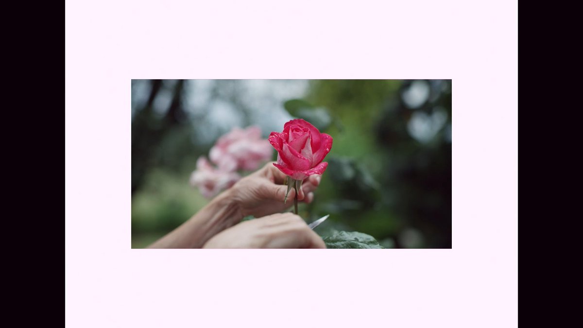 Architecture Player tweet media