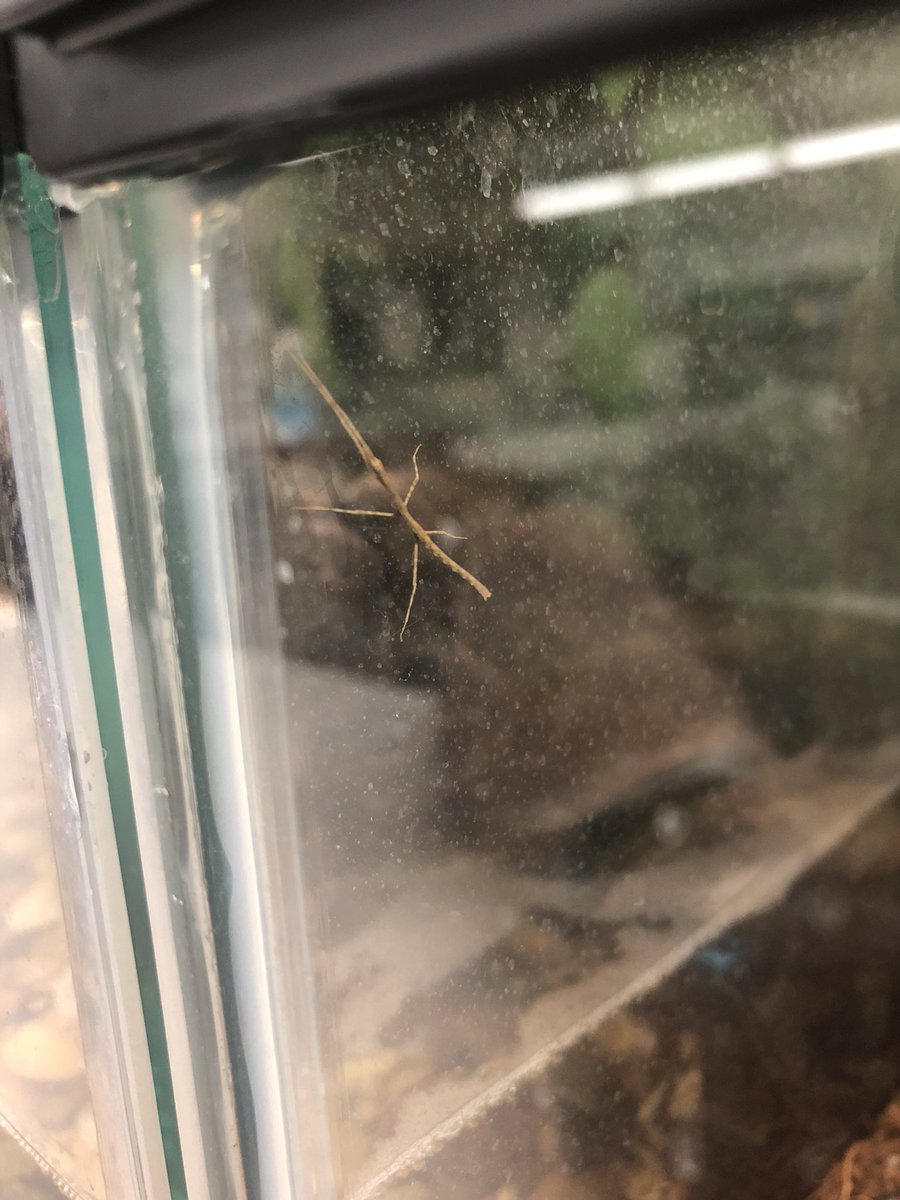 Kat Goodwin tweet media