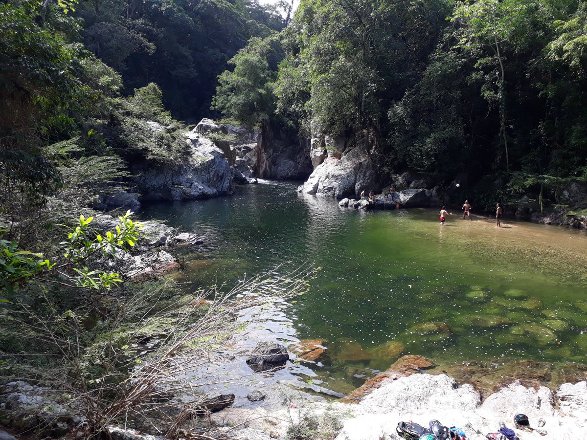 ViveTuOficial's tweet photo. La famosa Laguna encantada o también conocida como la Poza encantada - Santa Marta, sector Mendiguaca..!
#LagunaEncantada #LaPozaEncantada 
#Tayrona #SantaMarta #Caribe #SierraNevada #Viajar #Experiencias #Hotel #Hospedaje #Estadia #LostCity #CiudadPerdida #Travel #Trip #lodging https://t.co/7vrqqJQrpa