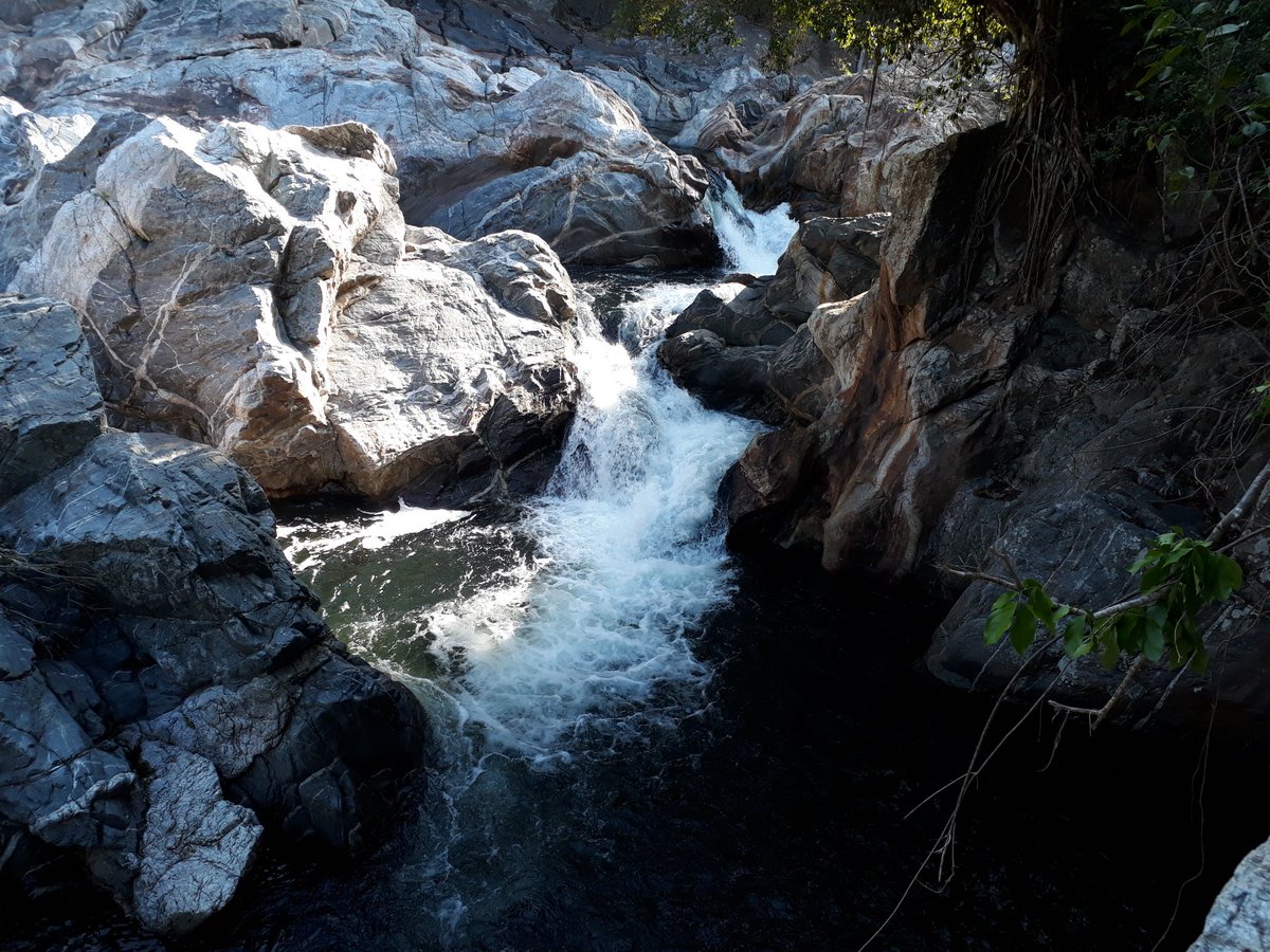ViveTuOficial's tweet photo. La famosa Laguna encantada o también conocida como la Poza encantada - Santa Marta, sector Mendiguaca..!
#LagunaEncantada #LaPozaEncantada 
#Tayrona #SantaMarta #Caribe #SierraNevada #Viajar #Experiencias #Hotel #Hospedaje #Estadia #LostCity #CiudadPerdida #Travel #Trip #lodging https://t.co/7vrqqJQrpa