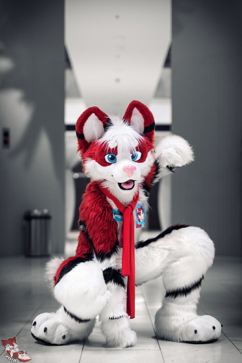 Red is the colour of the day!
Suiter: <a href="/KhaskiHusky/">Frey 🐾</a> 
Suit by: <a href="/2MischiefMakers/">Not the right one!</a> 
Con: MFF2017