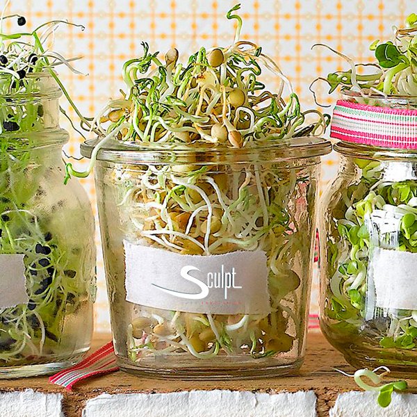 Sculpt4us's tweet photo. Atención al artículo de hoy📣  https://t.co/Wxs9XhDnze sobre los brotes 🌱 y los germinados 🌱
Los brotes verdes y germinados son un tesoro para el organismo. Inclúyelas en tu #alimentación diaria, es una buena manera de consumir vegetales frescos, son altamente #antioxidantes https://t.co/OGkXEiZ3fb