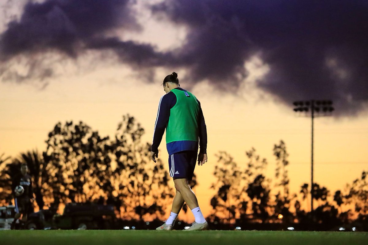 "Everything the light touches is our kingdom."
🦁👑 @Ibra_official