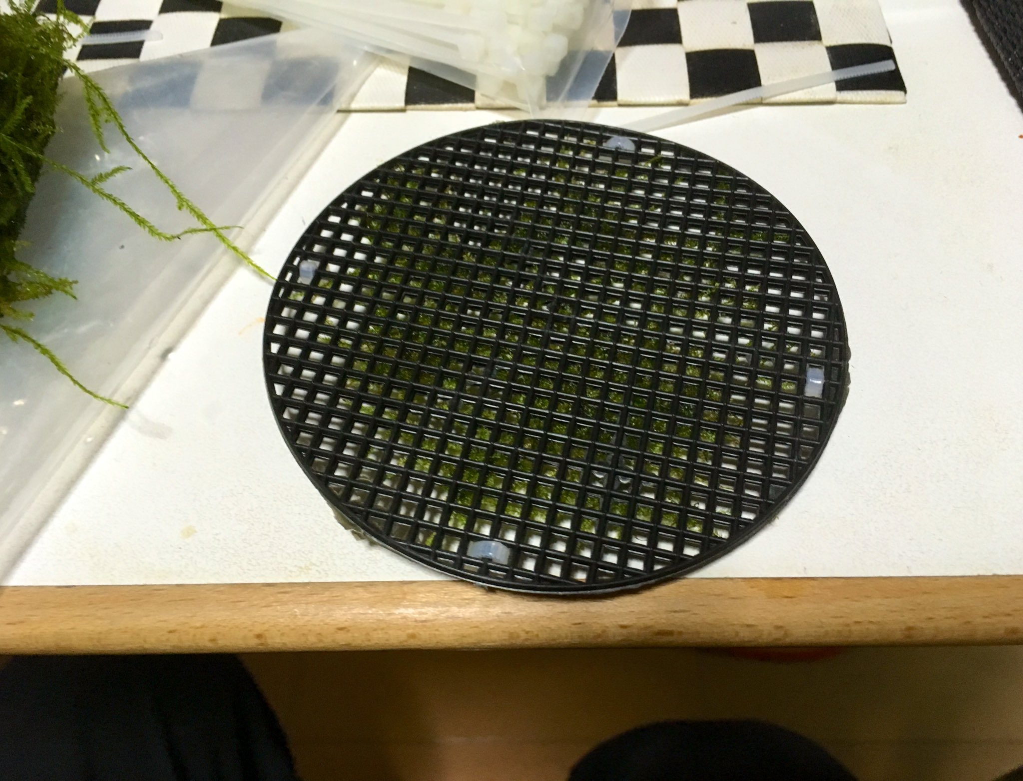 Crow Shrimp ダイソーの鉢底ネットでモスマットの作り方をかなり雑に教えてよう 必要な物 ダイソーの丸型の 鉢底ネット 結束バンド小 ウィーローモス あとは写真見てやれば出来るよー T Co S5hcglzicg Twitter