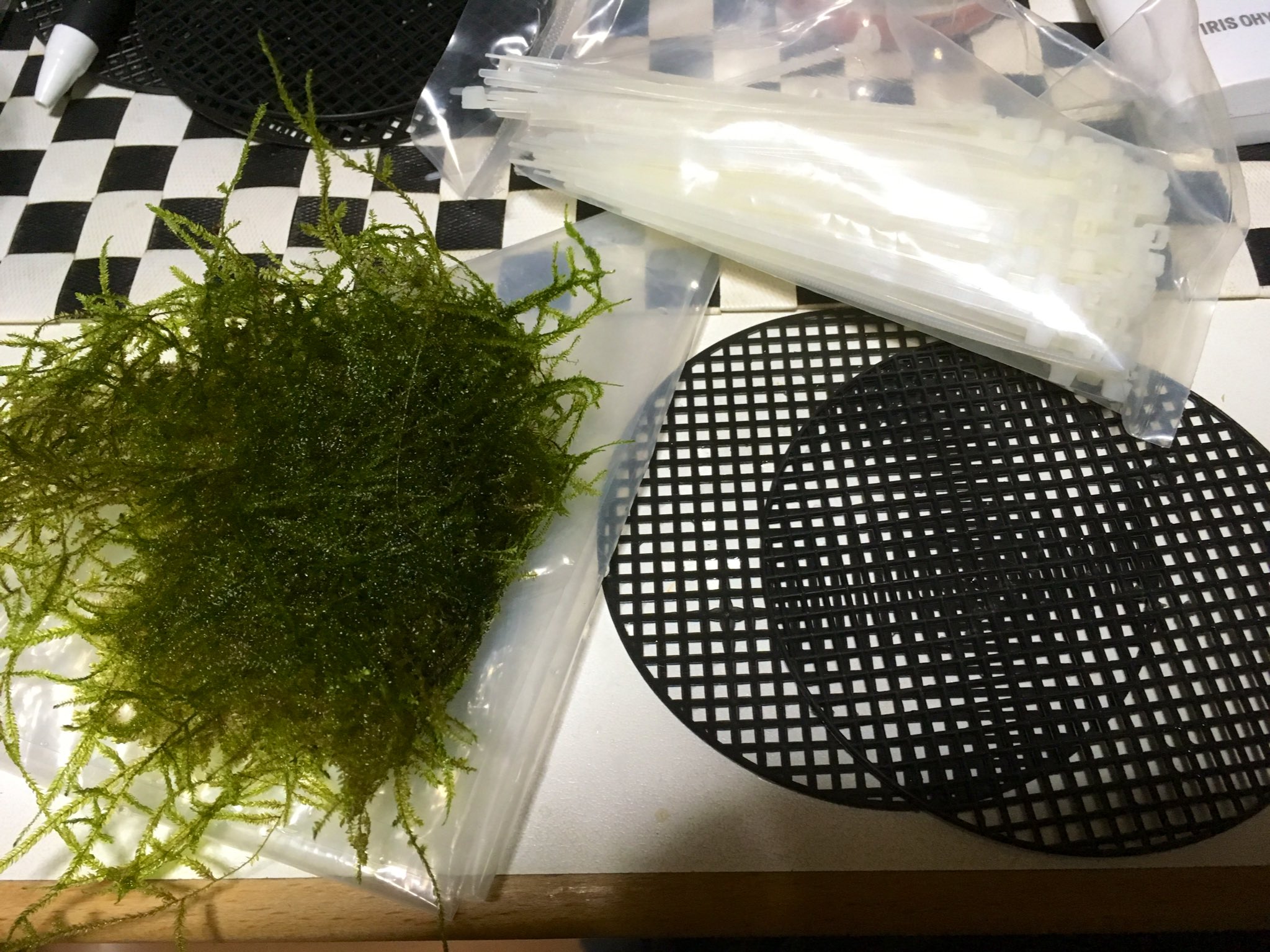 Crow Shrimp ダイソーの鉢底ネットでモスマットの作り方をかなり雑に教えてよう 必要な物 ダイソーの丸型の 鉢底ネット 結束バンド小 ウィーローモス あとは写真見てやれば出来るよー T Co S5hcglzicg Twitter
