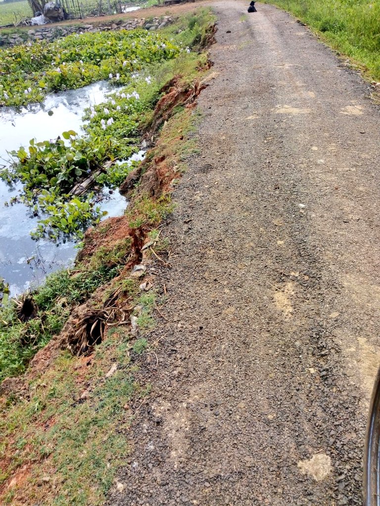 tapas_143's tweet photo. @Naveen_Odisha @OdishaWater କଣ ଏହାକୁ ଆମେ କହିବା  ଗ୍ରାମାଞ୍ଚଳର ବିକାଶ ? https://t.co/61EQsBEIBN