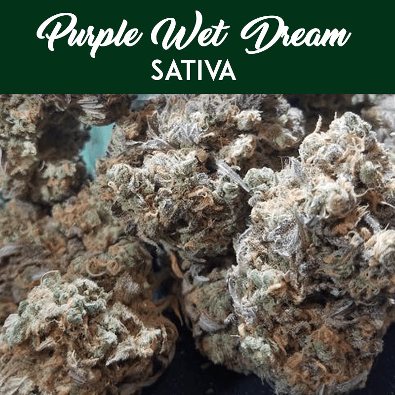 BudHutLA's tweet photo. Dream on ✌🏼
••••••••••••••••••••••
Follow BudHut LA for more 📲
••••••••••••••••••••••
#BudHutLA #PurpleWetDream #Sativa https://t.co/0HBW0Ud3Zy