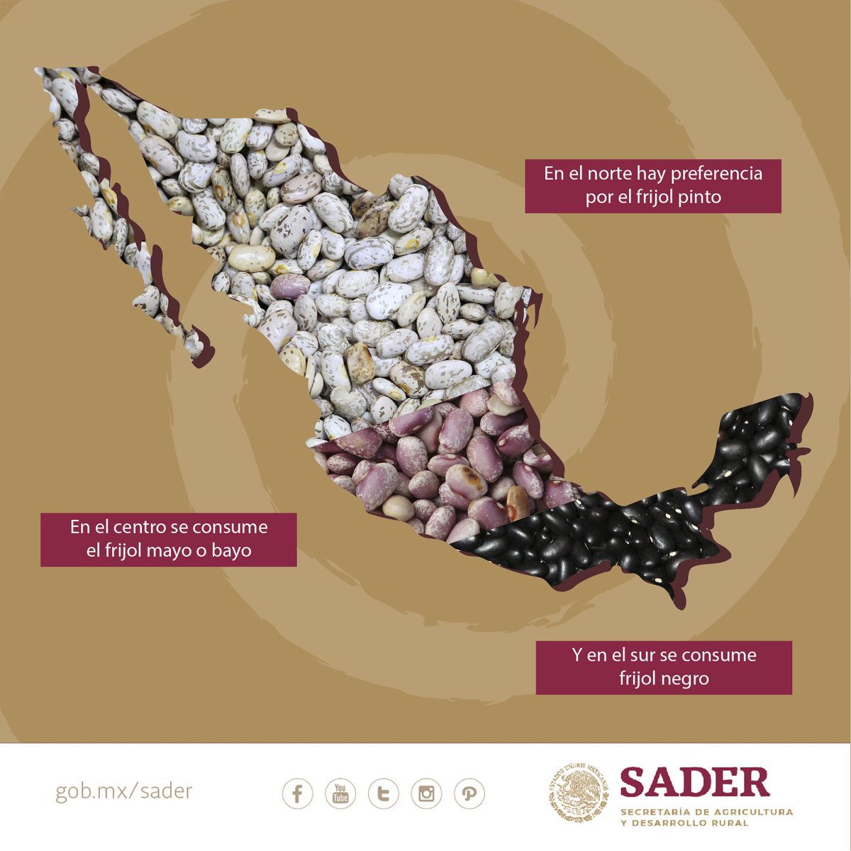 Es importante saber que #PreciosDeGarantía no compite ni afecta en la comercialización de los granos de producción comercial los cuales seguirán rigiéndose por la ley de la oferta y la demanda.